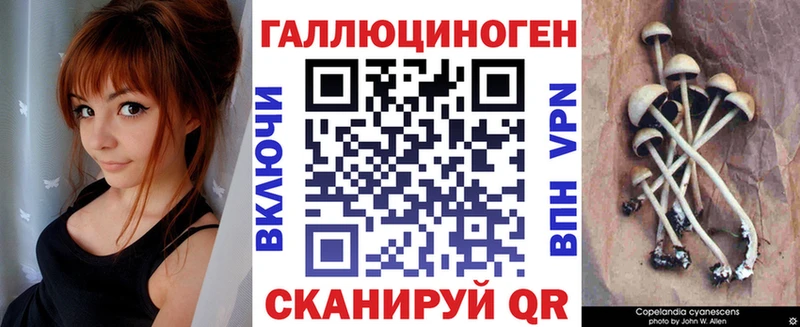 Псилоцибиновые грибы Cubensis  Якутск 