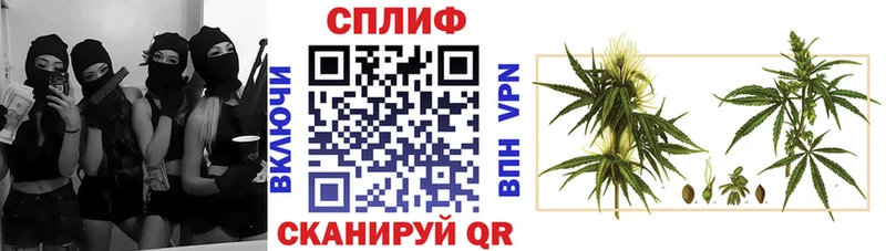 Бошки Шишки план  Якутск 